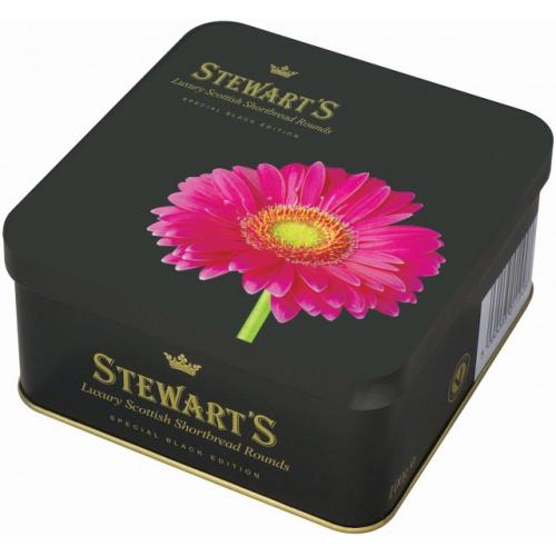 Black - Pink Gerbera
