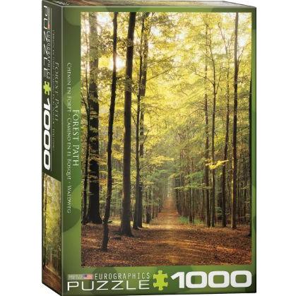 Forest Path 1 x