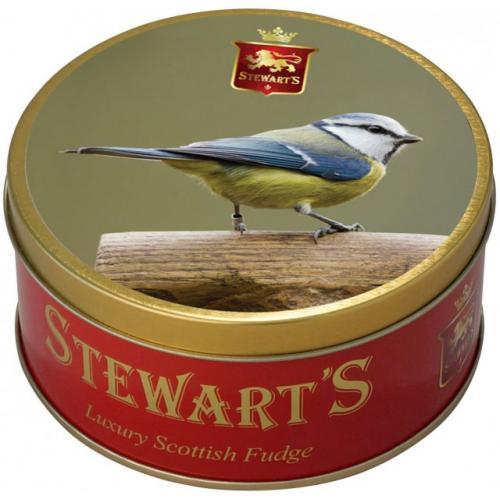 Blue Tit