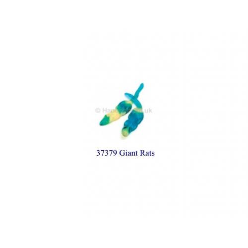 Giant Rats