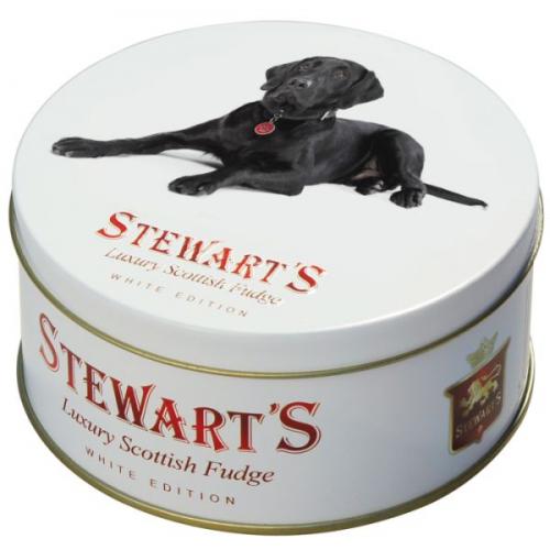 Black Labrador