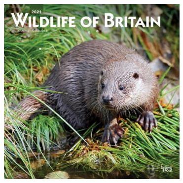 Widlife of Britain