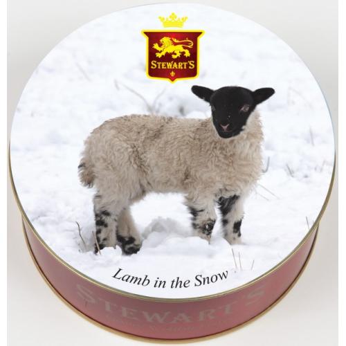Fudge - Lamb in the Snow