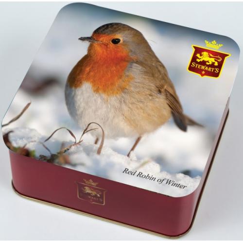 Fudge - Red Robin of Winter