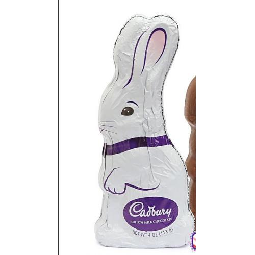 Hollow Bunny