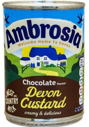 Ambrosia Chocolate Custard Tin 12 x 400g